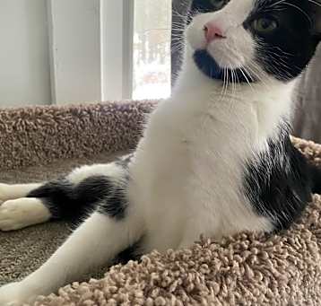 Photo of Pumpkin