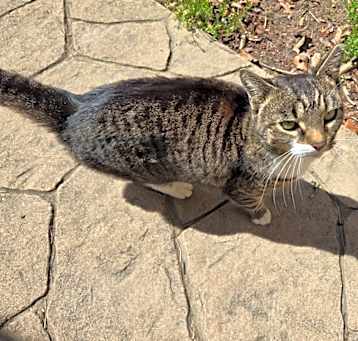 Photo of Mandy