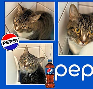 Photo of PEPSI