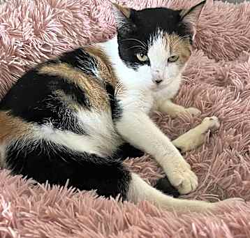 Photo of Hazel