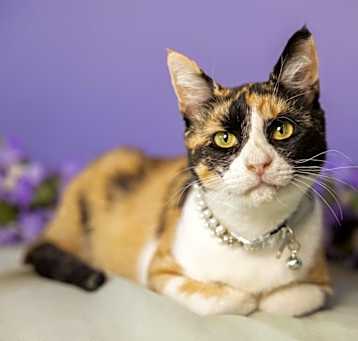 Photo of Charlotte