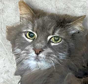 Photo of Sassy
