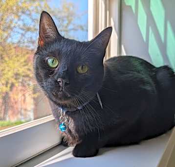Photo of Frosty