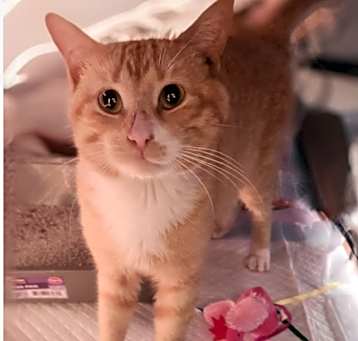 Photo of Jasper Bean