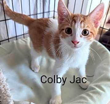 Photo of Colby