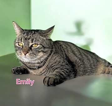Photo of Emily