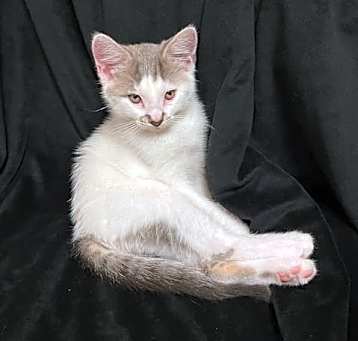 Photo of Everly