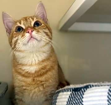 Photo of Sparky