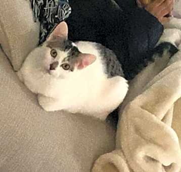 Photo of Izzy