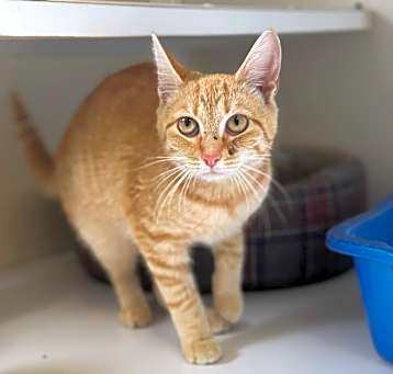 Photo of Sugar