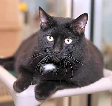Photo of Monty