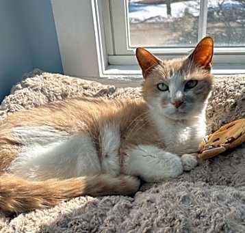 Photo of Rusty