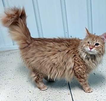 Photo of Willie