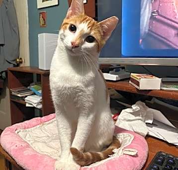 Photo of Buster