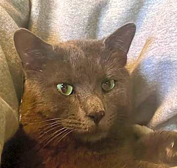 Photo of Ghost