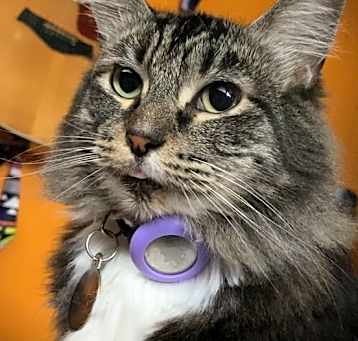 Photo of Delilah