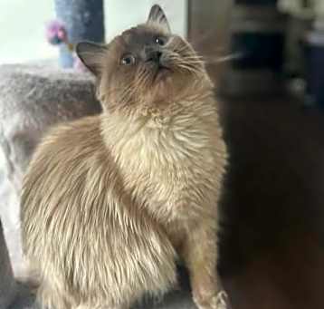 Photo of Anastasia