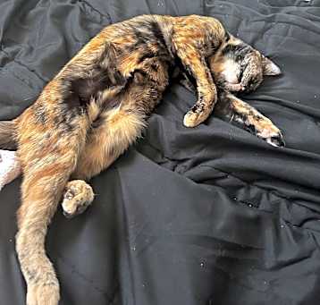 Photo of Zoe