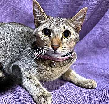 Photo of Delilah