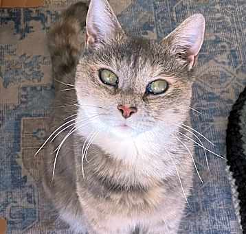 Photo of Mulan