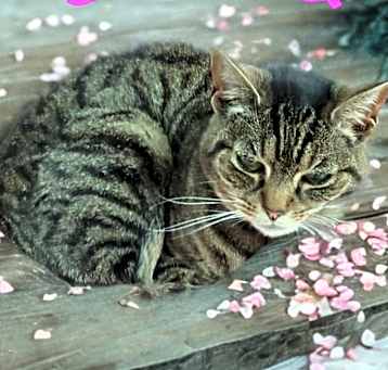 Photo of Ursula