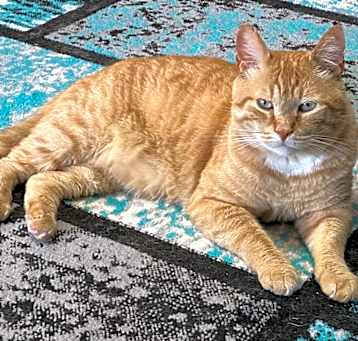 Photo of Hobbs