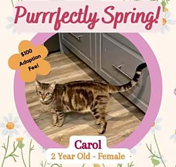 Photo of Carol