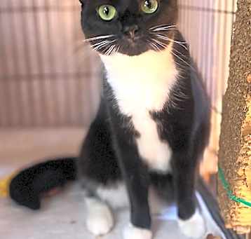 Photo of BONNIE