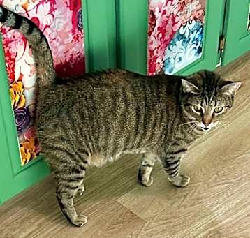 Photo of Precious