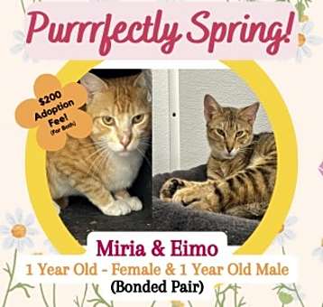 Photo of Miria&Eimo (Bonded)