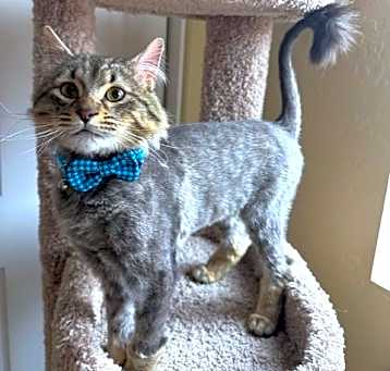 Photo of Maurice