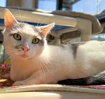 Photo of Cloudy