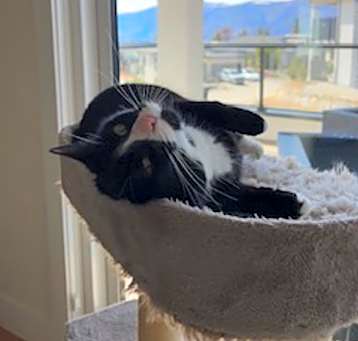 Photo of Dutchess