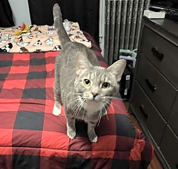 Photo of Bella (25-108)
