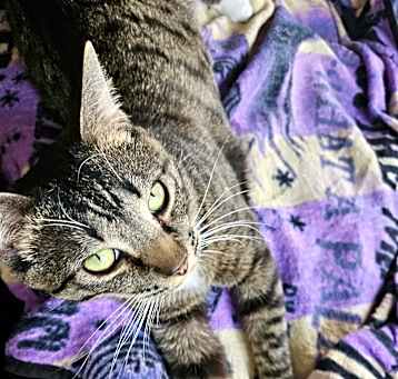 Photo of Ponyo
