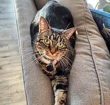 Photo of Zelda