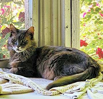 Photo of Jazz
