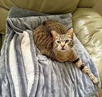 Photo of Sally