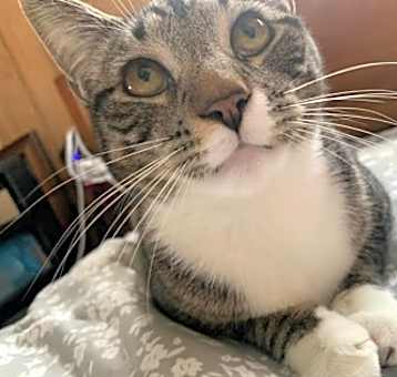 Photo of Thomas
