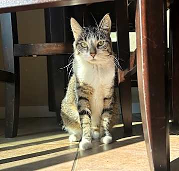 Photo of Pandi