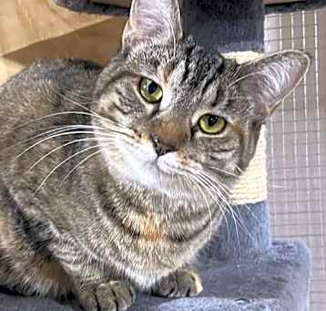 Photo of Miss Harvey