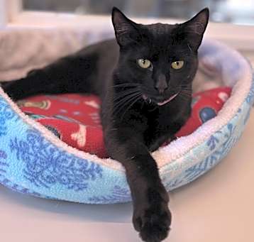 Photo of Dorothy
