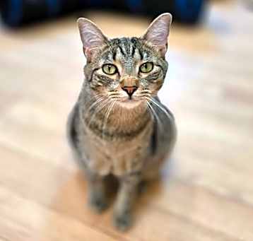 Photo of Marlin