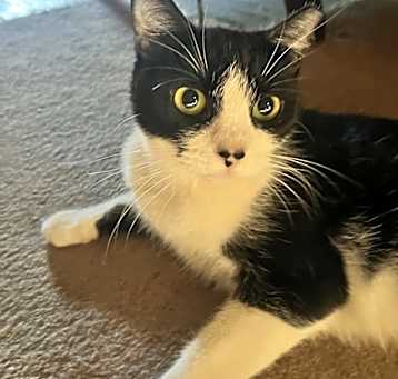Photo of Lexi