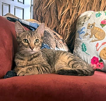 Photo of Rico