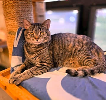 Photo of Dory