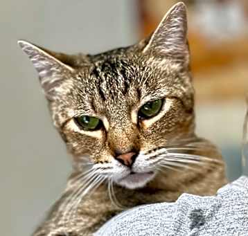 Photo of Raymond
