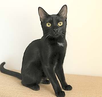 Photo of Winifred