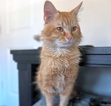 Photo of Kraven