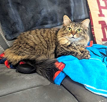 Photo of Luna